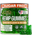 JOYLI Quit Smoking Gummies - Stop Smoking Hemp Gummies with Mullein Leaf & Reishi Mushroom - All-Natural Lung Cleanse for Smokers - Lung Detox to Clear Mucus from Respiratory - Non-GMO, Vegan - Buy Online on GoSupps.com