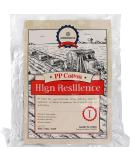 KORONETA Premium Polyester Fiber 425g/15oz - Pure White Dolls and Pillow Stuffing - Buy Online on GoSupps.com