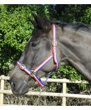 Buy Rhinegold Nylon Halter for Shetland Ponies - Red White & Blue | International Shipping Available - Buy Online on GoSupps.com