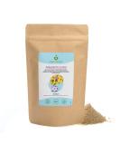 Buy 100% Natural Milk Thistle Seed Powder (500g) - Pure Vegan Supplement for Liver Health - Ground Milk Thistle Seeds - Buy Online on GoSupps.com