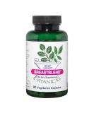Vitanica BreastBlend: Vegan Breast Care Support - 90 Capsules - Buy Online on GoSupps.com