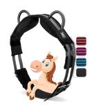 Esposita Riding Strap with 2 Leather Handles - Child & Rider Safety Lunging Belt Vaulting Belt Wooden Horse Accessories - Black - Buy Online on GoSupps.com