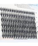 MAEXUS 120 Clusters DIY Eyelash Extensions | C Curl Individual Wispy Lashes | 0.07C 8mm-16mm MIX - Buy Online on GoSupps.com