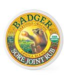 Badger Company Organic Sore Joint Rub Arnica Blend .75 oz (21 g) - Buy Online on GoSupps.com