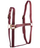 Rhinegold Nylon Halter for Shetland Ponies - Burgundy | Premium Quality & Fast International Shipping - Buy Online on GoSupps.com