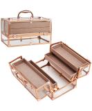 Frenessa Acrylic Makeup Organizer with 4 Trays - Portable Cosmetic Storage Case for Makeup Artists and Stylists - Rose Gold - Buy Online on GoSupps.com
