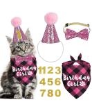 JOTFA Cat Birthday Party Supplies Cat Birthday Outfits Cat Kitten Birthday Girl Bandanas with Cat Birthday Hat Crown Cat Bow Tie Birthday Number for Cat Kitten Birthday Decorations (Pink) Pink Plaid - Buy Online on GoSupps.com