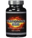 Buy TESTONATE 250 Testosterone Booster - 120 Capsules with Creatine Tribulus Maca & Avena Sativa | International Shipping Available - Buy Online on GoSupps.com