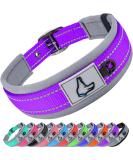 Joytale Softly Padded Neoprene Dog Collar for Small Dogs | Reflective Nylon Wide Collar in Purple - 1 Pack - Buy Online on GoSupps.com