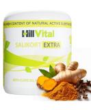 HillVital Joint & Muscle Therapy Cream - Non-Greasy Muscle & Joint Pain Relief for Neck Hands Feet Back Strong Topical Sore Muscle Relief - Buy Online on GoSupps.com
