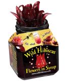 Wild Hibiscus Flowers in Syrup 250g - Exotic Edible Flowers for Cocktails and Desserts - Buy Online on GoSupps.com
