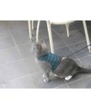 Mynwood Cat Jacket/Harness Black Watch Tartan Adult Cat - Buy Online on GoSupps.com