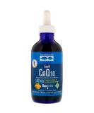 Trace Minerals Liquid CoQ10 100mg Tangerine Flavor - 4 fl oz | Heart Health Supplement - Buy Online on GoSupps.com