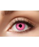 Buy Eyecatcher 84063141-625 Pink Colored Contact Lenses - 12 Month Wear for Carnival Mardi Gras & Halloween - Buy Online on GoSupps.com