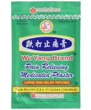 Buy Wu Yang Pain Relieving Medicated Plasters - 40 Patches | SOLSTICE MEDICINE COMPANY | Fast International Shipping - Buy Online on GoSupps.com
