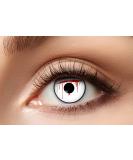 Buy Eyecatcher 84080441-807 Colored Contact Lenses 12-Month White Bloodshot Eye for Carnival Mardi Gras & Halloween | International Shipping Available - Buy Online on GoSupps.com