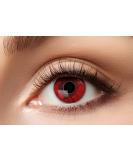 Buy Eyecatcher 84115141.979 Red Colored Contact Lenses - 12 Month Wear for Carnival Mardi Gras & Halloween - International Shipping - Buy Online on GoSupps.com