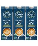 SOWN Organic Oat Creamer Sweet & Creamy - Barista Oat Milk Non Dairy Coffee Creamer - Plant Based, Dairy-Free, Vegan, Gluten-Free, Non-GMO, Shelf Stable - 32oz (Pack of 3) Sweet & Creamy 32 Fl Oz (Pack of 3) - Buy Online on GoSupps.com