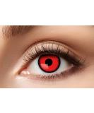 Buy Eyecatcher 84080441-953 Red Colored Contact Lenses - 12 Month Wear for Carnival Mardi Gras & Halloween - Buy Online on GoSupps.com