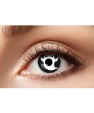 Buy Eyecatcher Colored Contact Lenses - 1 Pair 12 Months Black & White for Carnival Mardi Gras & Halloween - Ship Internationally - Buy Online on GoSupps.com