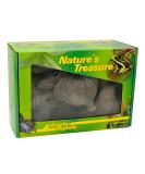 Lucky Reptile DB-01 Nature's Treasure Decor Box - Buy Online on GoSupps.com