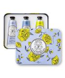 La Chatelaine Hand Cream Lavender Trio Gift Tin | Graduation Present | Teacher Gift | Ready-To-Gift Decorative Tin | Set of 3 x 1 fl. oz | Plant-Based | Made in France | 20% Organic Shea Butter & Argan Oil (Lavender  Lyc... - Buy Online on GoSupps.com