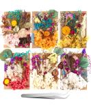 Pressed Dried Flowers Kit with Tweezers - Colorful Real Dried Flowers for Resin Jewelry DIY - Buy Online on GoSupps.com