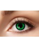Eyecatcher 84063141-623 Green Colored Contact Lenses - 12 Month Wear for Carnival Mardi Gras & Halloween - Reptile Design - Buy Online on GoSupps.com