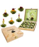 Creano Tea Blumen Gift Set - 12 Fruity Green Tea Blooms in Elegant Wooden Box | Perfect Gift for Women - Buy Online on GoSupps.com