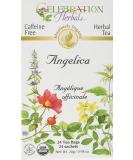 Buy Celebration Herbals Organic Angelica Root - 24 Bags (0.02 lb) | Premium Quality Herbal Tea for Wellness - Buy Online on GoSupps.com