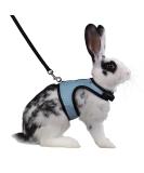 Niteangel Adjustable Soft Rabbit Harness with Elastic Leash - Large Blue | Comfortable & Safe Pet Gear for Rabbits - Buy Online on GoSupps.com