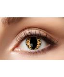 Eyecatcher 84078841-758 Red Colored Contact Lenses - 12 Month Wear for Carnival Mardi Gras & Halloween - Leo Cat Style - Buy Online on GoSupps.com