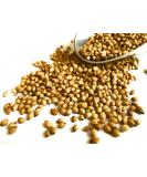 Whole Coriander Seeds Cooking Spice Premium Quality 200g 250.0 grams - Buy Online on GoSupps.com