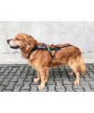 Buy DOG Copenhagen Non-Stop Harness for Canicross - Free Motion Size T9 Black 8 | International Shipping Available - Buy Online on GoSupps.com