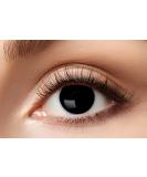 Buy Eyecatcher 84063141-595 Colored Contact Lenses - 1 Pair 12 Months Black for Halloween Carnival & Mardi Gras | International Shipping Available - Buy Online on GoSupps.com