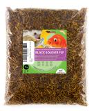 UGF Soldier Fly Larvae (1 kg) - Superior to Dried Mealworms 85x Calcium Boost for Wild Birds Turtles & More - Buy Online on GoSupps.com
