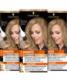 Buy Diadem Set BA1 Blond Level 3 - 10-Minute Permanent Hair Color | Nourishing Oil Formula | 3 Pack - International Shipping Available! - Buy Online on GoSupps.com