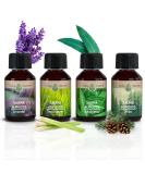 Cozynature sauna infusion with essential oil |Sauna infusion agent |Sauna accessories |4 Set - Eucalyptus Lemongrass Zirbe lavender - 4x 100ml |including free sauna e-book sauna classic - Buy Online on GoSupps.com