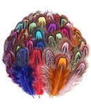 THARAHT 120pcs Mix Colour Natural Pheasant Plumage Feathers 2-3 Inches Pheasant Feathers for Sewing Crafts Clothing Jewelry Wedding Hair Hats Dream Catcher Decoration Feathers - Buy Online on GoSupps.com