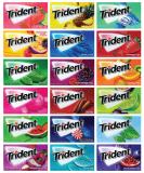 Trident Chewing Gum | Sugar-Free | Assorted Flavor (10 Pack) - Niro Assorted Flavors - Buy Online on GoSupps.com