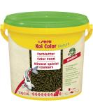 Sera Koi Color Nature Medium 3.8 Ltr - Natural Color Feed with 10% Spirulina for Colorful Koi (12-25 cm) - Preservative-Free Koi Food - Buy Online on GoSupps.com