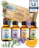 Woodfjord Sauna Infusion Set Bio Classic - 4 Organic Fragrances & Oils (100ml) for Authentic Sauna Experience | Premium Air Test Set - Buy Online on GoSupps.com