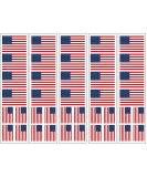 USA Flag Patriotic Party Tattoos - Set of 40 American Themed Temporary Tattoos - Buy Online on GoSupps.com