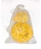 Constantia Beauty Premium Natural Sea Wool Sponges - Luxury Bath & Shower Gift Set - Soft Real Sponges for Facial Cleansing - Large & Medium Sizes - Buy Online on GoSupps.com