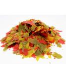 HERONS - Tropical Flakes - For all Tropical Fish - Guppies Bettas Neons Cichlids Angelfish Swordtails - Multi-Nutrient Complex - Supports Growth Colouration and Immune System - 100 Grams Fish 100 g (Pack of 1) - Buy Online on GoSupps.com