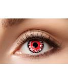 Buy Eyecatcher 84080441-942 Brown Colored Contact Lenses - 1 Pair for 12 Months | Perfect for Carnival Mardi Gras & Halloween - Buy Online on GoSupps.com