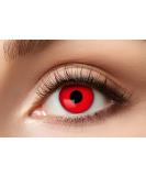 Buy Eyecatcher 84063141-597 Red Colored Contact Lenses - 1 Pair 12 Months Perfect for Carnival Mardi Gras & Halloween - Buy Online on GoSupps.com