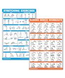 Quickfit 2-Pack Stretching Exercises & Sliding Bench Workout Poster Set - Compatible with Total Gym & Weider Ultimate Body Works (Laminated 45.7 x 61 cm 18'' x 24'') - International Shipping Available - Buy Online on GoSupps.com