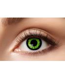Eyecatcher 84063141-627 Green Colored Contact Lenses - 1 Pair 12 Months - Perfect for Carnival Mardi Gras Halloween & Jungle Themes - Buy Online on GoSupps.com