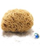 Tom & Pat Natural Sponge - Premium Quality Bathing & Shower Sponge from Greece | Dermatest Very Good 25-26 cm Body Peeling Sponge with Cord & Glass Trailer - Buy Online on GoSupps.com